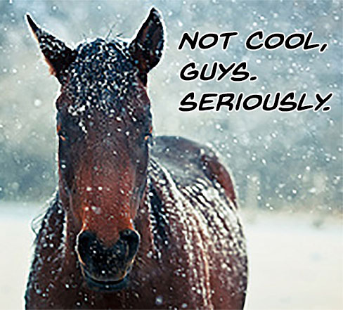 Ep 74: Quit Horsing Around